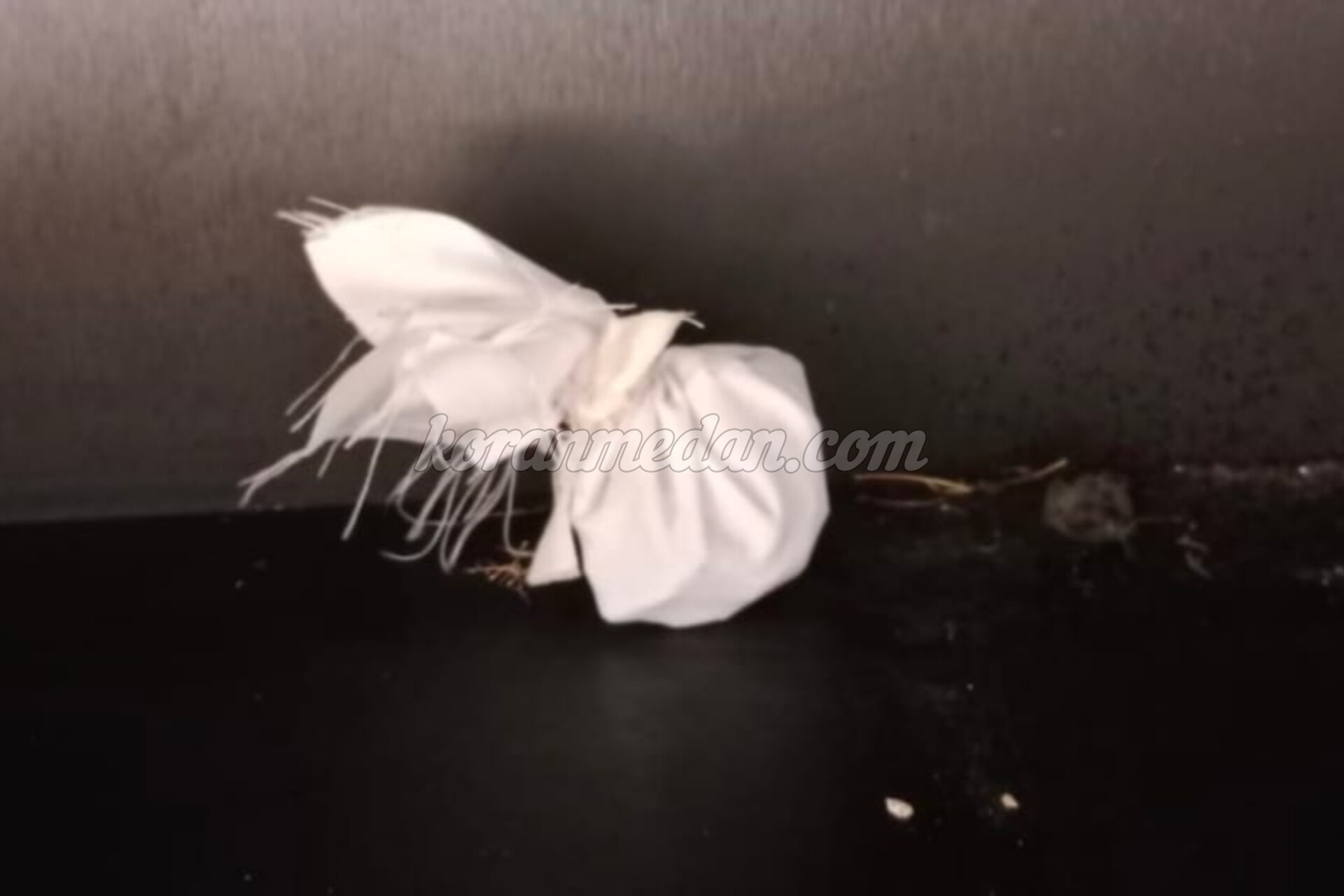 Benda Diduga Jimat Ditemukan Di Kantor dan Rumah Dinas Wali Kota Tanjungbalai