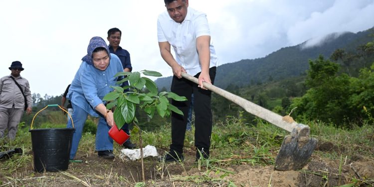 Lestarikan Kawasan Hutan, Gubernur Bobby Tanam Pohon dan Bagikan Ribuan Bibit