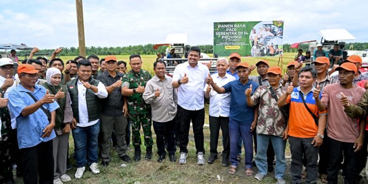 Wujudkan Tanam Padi Tiga Kali Setahun, Gubernur Bobby Minta Bantuan ke Presiden untuk Perbaikan Tanggul