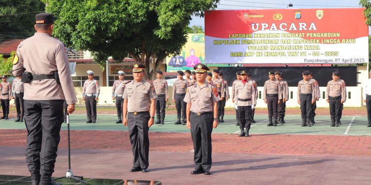 Bentuk Penghargaan Jelang Pensiun, Dua Kapolsek Jajaran Polres Madina Naik Pangkat