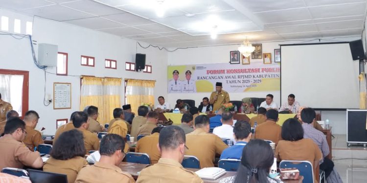 Wakil Bupati Dairi Buka Forum Konsultasi Publik Rancangan Awal RPJMD
