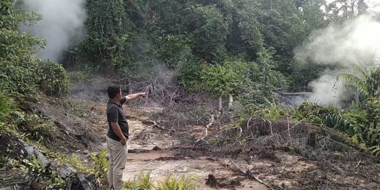 Semburan Lumpur Panas Kembali Ancam Warga Madina , Walhi Sumut : Cabut Izin PT SMGP !