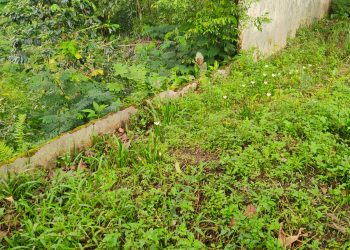 SD Negeri 030300 Pansuran Butuh Perbaikan Pagar Pembatas Sekolah