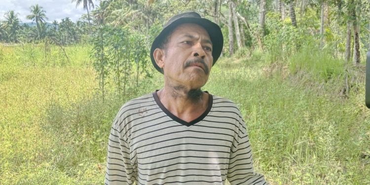 Program Ketapang Terganggu,15 Ha Areal Persawahan Kekeringan, Bupati Madina Diminta Turun Tangan