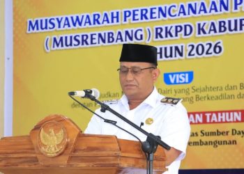 Bupati Dairi: Ada 6 Pertimbangan Dasar Penyusunan RPJMD 2025- 2029