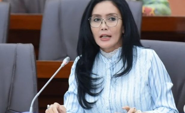 Pelanggaran PTPN dalam Pengelolaan Asset Terungkap di RDP Komisi VI DPR-RI