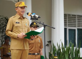 Bupati Langkat Tekankan Peran Posyandu dalam Pembangunan Kesehatan Masyarakat