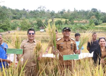 Pemkab Dairi Berkomitmen Dorong Pertanian Berkelanjutan