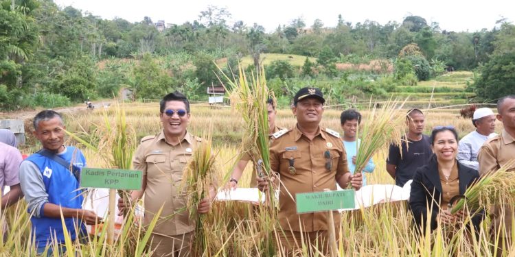 Pemkab Dairi Berkomitmen Dorong Pertanian Berkelanjutan