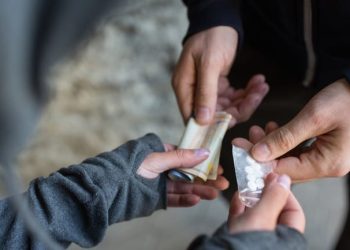 Kebal Hukum, Pelaku Narkoba di Sihepeng Madina Semakin Menggila