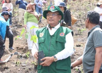 Pemkab Dairi Tanam 10.000 Pohon Kemiri di Kecamatan Silahisabungan