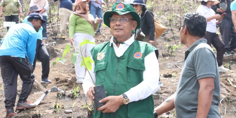 Pemkab Dairi Tanam 10.000 Pohon Kemiri di Kecamatan Silahisabungan