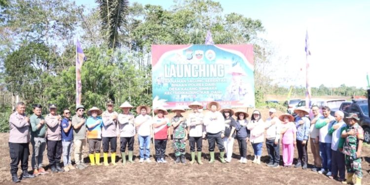 Polres Dairi Launching Penanaman Jagung di Desa Kalang Simbara