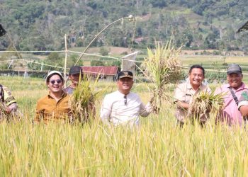 Wakil Bupati Dairi Ajak Petani Perkuat Ketahanan Pangan