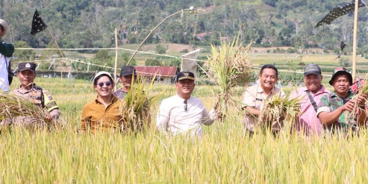 Wakil Bupati Dairi Ajak Petani Perkuat Ketahanan Pangan