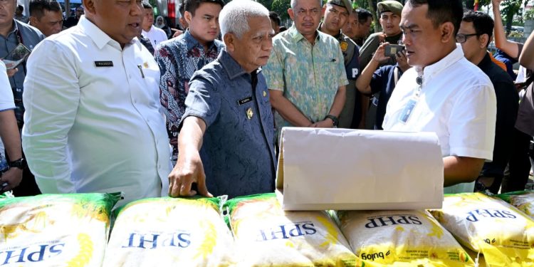 Dukung Gerakan Pangan Murah Serentak, Sumut Gelar Pasar Murah di 394 Titik Lokasi di 33 Kabupaten/Kota
