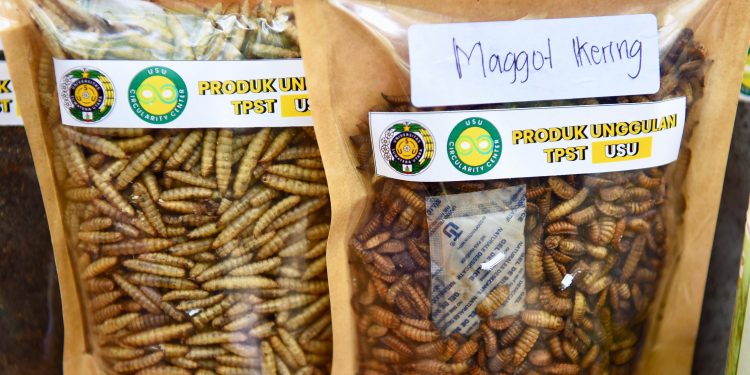 Mengolah Sampah, Menumbuhkan Harapan: TPST USU, Bangun Gerakan Zero Waste dari Kampus