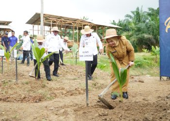 Pemkab Langkat Dukung Penanaman 360 Ribu Pohon Kelapa