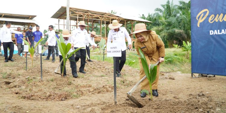 Pemkab Langkat Dukung Penanaman 360 Ribu Pohon Kelapa
