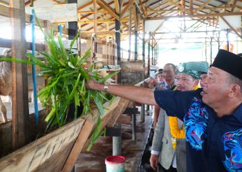 Bangkitkan Ekonomi, Bupati Langkat Targetkan Balai Ternak Baznas Hingga ke Kecamatan