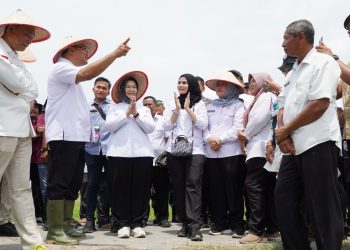 Pemkab Langkat Apresiasi BI Dukung Klaster Padi Perkuat Ketahanan Pangan