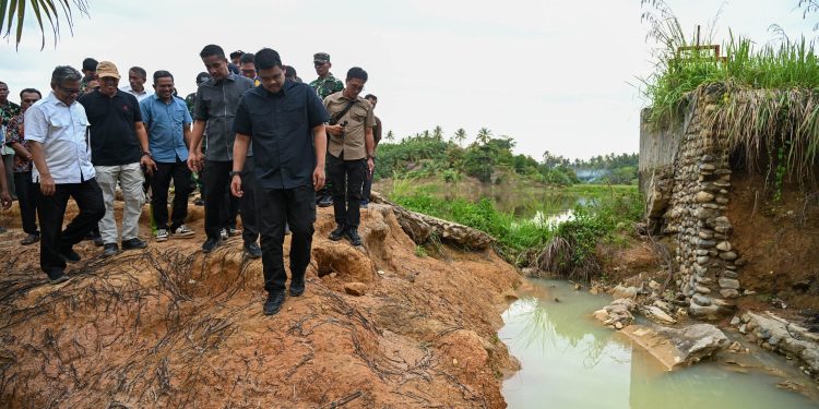 Gubernur Bobby Tinjau Sungai Tukka, Pemerintah Siapkan Tanggul dan Sabo Dam Kendalikan Banjir