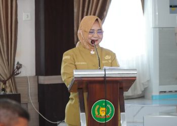 Wabup Langkat Buka Workshop Integrasi Data Program Sehati Bunda