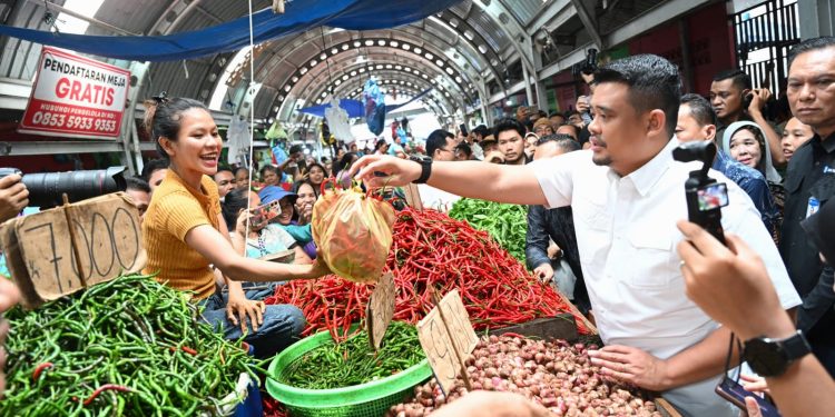 Harga Daging Ayam di Sumut Turun