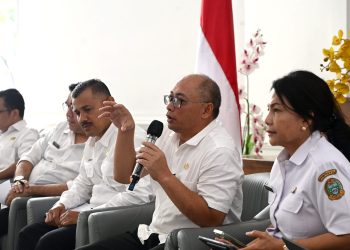 Kinerja Realisasi Investasi Sumut Positif, Kejar Target Rp100 Triliun