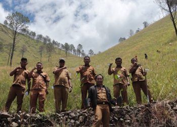 Pemkab Dairi Monitor Perkembangan Pohon Kemiri di Desa Paropo