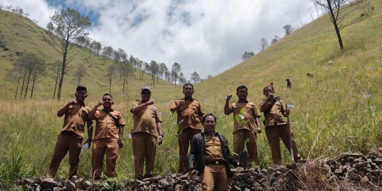 Pemkab Dairi Monitor Perkembangan Pohon Kemiri di Desa Paropo