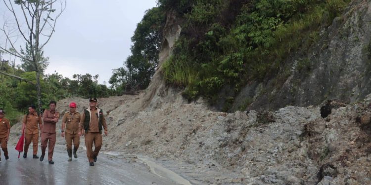 Wakil Bupati Dairi Tinjau Penanganan Longsor di Jalan Lintas Sumatera