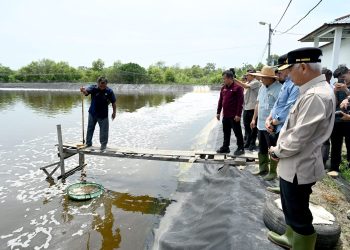 Tinjau UPTD BIAPAL Sialang Buah, Wagub Sumut Dorong Peningkatan PAD Sektor Perikanan