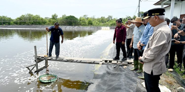 Tinjau UPTD BIAPAL Sialang Buah, Wagub Sumut Dorong Peningkatan PAD Sektor Perikanan