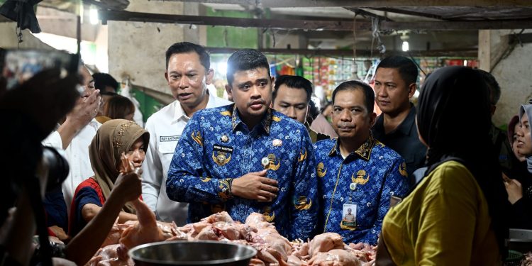 Pemprov Sumut Pastikan Stok dan Distribusi Minyakita Aman, Harga Mulai Stabil