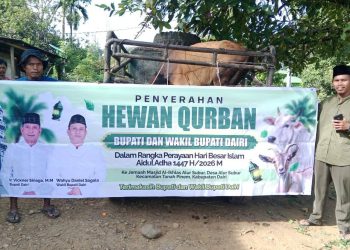 Bupati dan Wakil Bupati Dairi Serahkan Hewan Kurban
