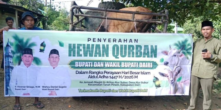 Bupati dan Wakil Bupati Dairi Serahkan Hewan Kurban