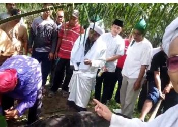 Manifesto Dr. M. Sontang Sihotang: Penyembelihan Hewan Qurban Sarana Merevolusi Kesadaran