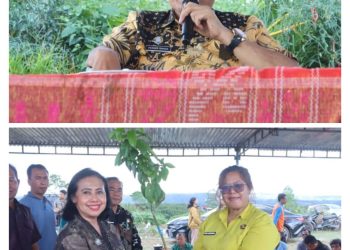 Bupati Dairi Canangkan Gerakan ASN Merawat Bumi