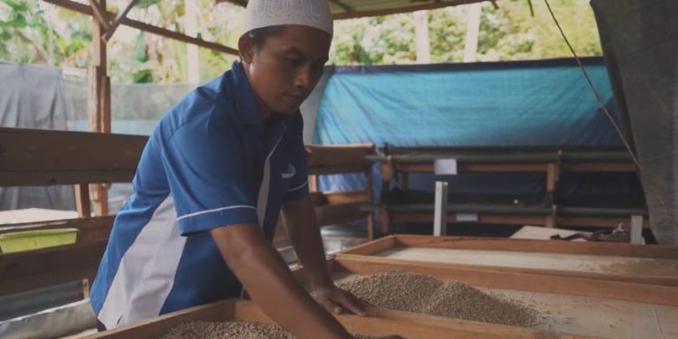 Melihat Potensi Manggot Sebagai Pakan Ternak, Bang Untung Budidaya Maggot dari Limbah Catering PT INALUM