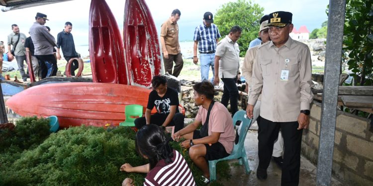 Ekonomi Masyarakat Nias Utara Terdongkrak dari Rumput Laut, Wagub Surya Dorong Hilirisasi