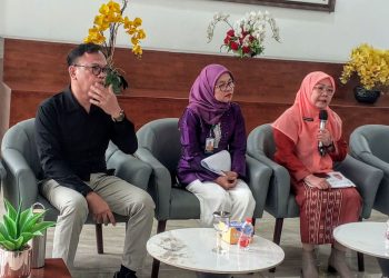 Perluas Akses Layanan Kesehatan Jiwa, RSJ Prof Dr M Ildrem Hadirkan Telekonseling dan Daycare
