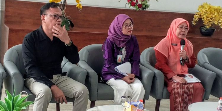 Perluas Akses Layanan Kesehatan Jiwa, RSJ Prof Dr M Ildrem Hadirkan Telekonseling dan Daycare