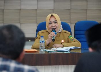Plt Bupati Tiorita Perjuangkan Percepatan Bantuan Korban Banjir Langkat