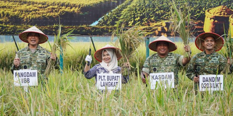 Plt Bupati Tiorita Dampingi Pangdam I/BB Panen Raya TNI Dukung Swasembada Pangan