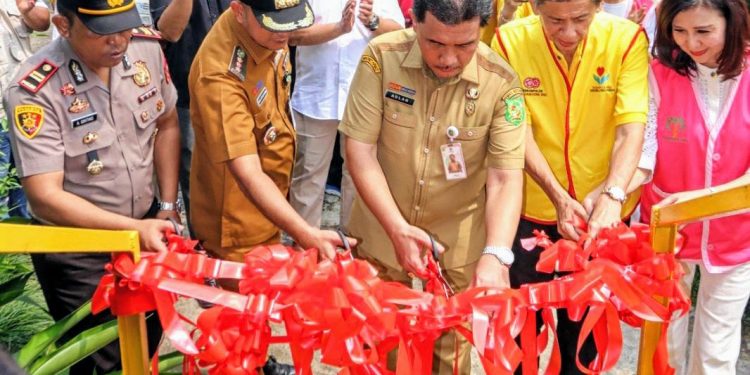 Jembatan Perintis Mangga Diresmikan, Wali Kota Medan Tekankan Manfaat bagi Mobilitas