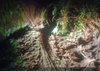 Diguyur Hujan Lebat, Jalan di Kecamatan Tigalingga Longsor