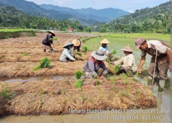 Syukur dan Sabar dalam Menjalani Kehidupan