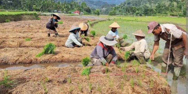 Syukur dan Sabar dalam Menjalani Kehidupan