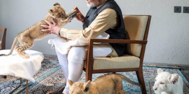Komitmen India Selamatkan Satwa